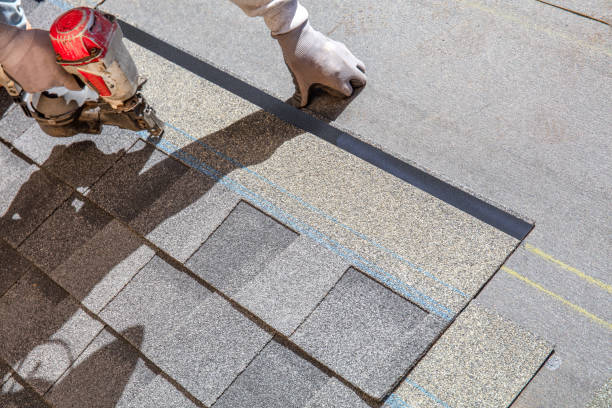 Best Roof Leak Repair  in Salmon, ID